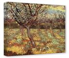 Gallery Wrapped 11x14x1.5 Canvas Art - Vincent Van Gogh Apricot Trees In Blossom2