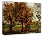 Gallery Wrapped 11x14x1.5 Canvas Art - Vincent Van Gogh Autumn Landscape With Four Trees