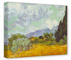 Gallery Wrapped 11x14x1.5  Canvas Art - Vincent Van Gogh Cornfield With Cyprusses