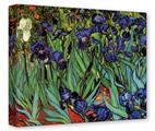 Gallery Wrapped 11x14x1.5  Canvas Art - Vincent Van Gogh Irises