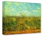 Gallery Wrapped 11x14x1.5  Canvas Art - Vincent Van Gogh Wheat Field With A Lark